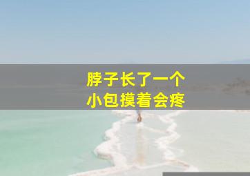 脖子长了一个小包摸着会疼