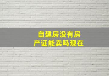 自建房没有房产证能卖吗现在