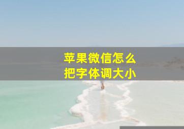 苹果微信怎么把字体调大小