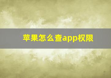 苹果怎么查app权限