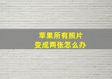 苹果所有照片变成两张怎么办