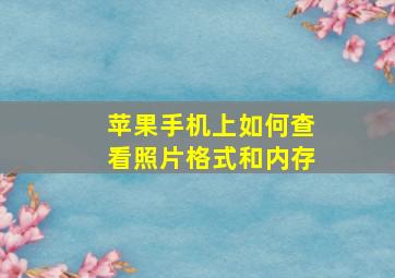 苹果手机上如何查看照片格式和内存