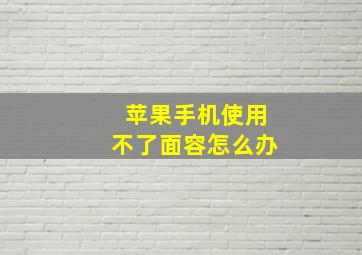 苹果手机使用不了面容怎么办