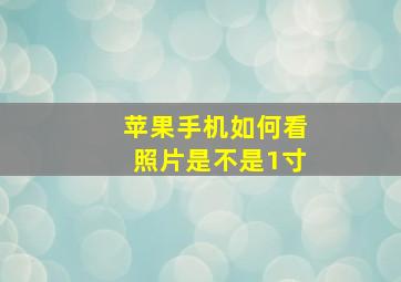 苹果手机如何看照片是不是1寸