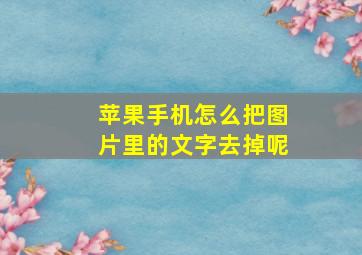 苹果手机怎么把图片里的文字去掉呢