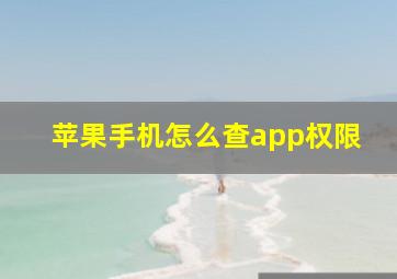 苹果手机怎么查app权限