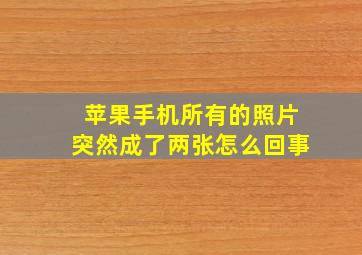 苹果手机所有的照片突然成了两张怎么回事