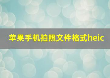 苹果手机拍照文件格式heic