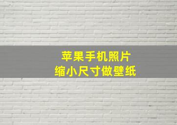 苹果手机照片缩小尺寸做壁纸