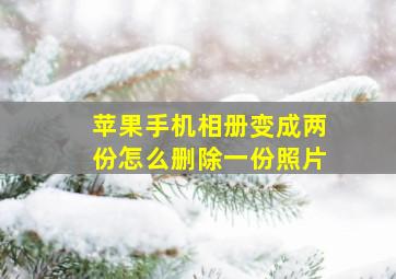 苹果手机相册变成两份怎么删除一份照片