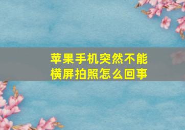 苹果手机突然不能横屏拍照怎么回事