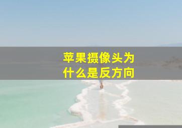 苹果摄像头为什么是反方向