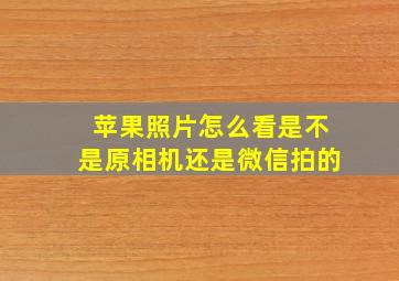 苹果照片怎么看是不是原相机还是微信拍的