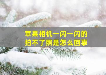 苹果相机一闪一闪的拍不了照是怎么回事