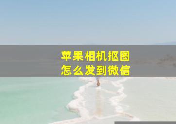 苹果相机抠图怎么发到微信