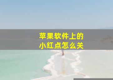 苹果软件上的小红点怎么关