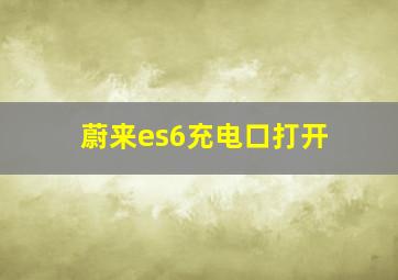 蔚来es6充电口打开