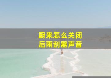 蔚来怎么关闭后雨刮器声音