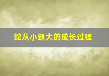 蛇从小到大的成长过程