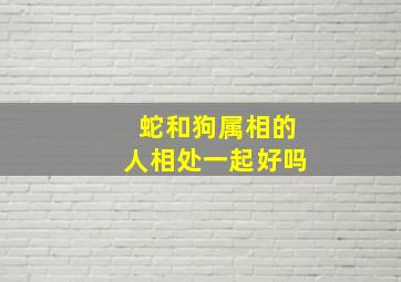 蛇和狗属相的人相处一起好吗