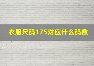 衣服尺码175对应什么码数