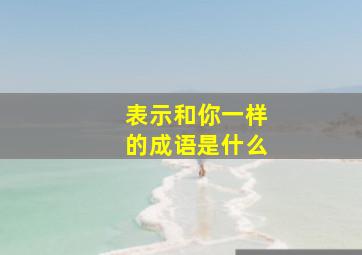 表示和你一样的成语是什么