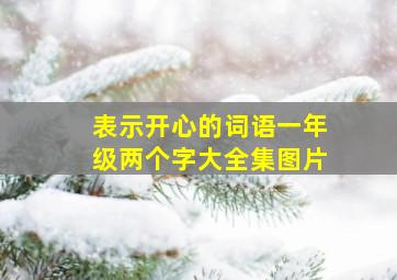 表示开心的词语一年级两个字大全集图片