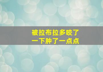 被拉布拉多咬了一下肿了一点点