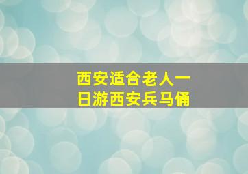 西安适合老人一日游西安兵马俑