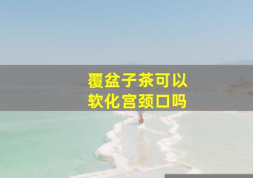 覆盆子茶可以软化宫颈口吗