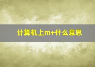 计算机上m+什么意思