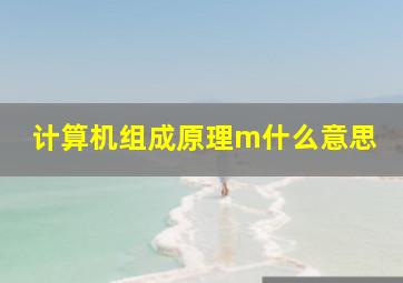 计算机组成原理m什么意思