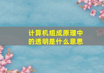 计算机组成原理中的透明是什么意思