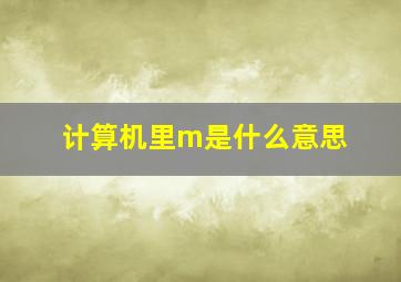 计算机里m是什么意思