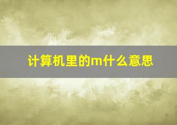 计算机里的m什么意思