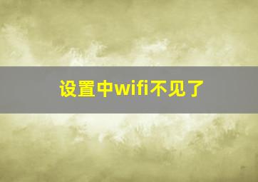 设置中wifi不见了