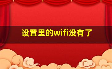 设置里的wifi没有了