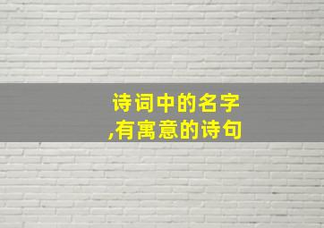 诗词中的名字,有寓意的诗句