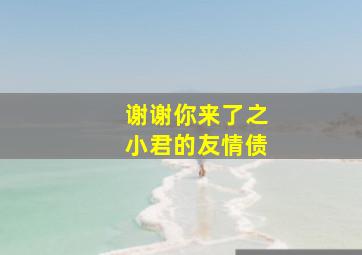 谢谢你来了之小君的友情债