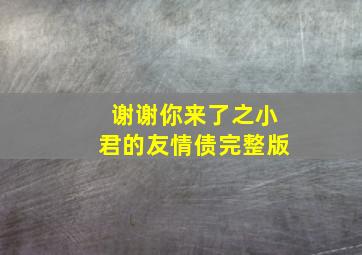 谢谢你来了之小君的友情债完整版