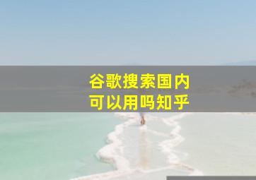 谷歌搜索国内可以用吗知乎