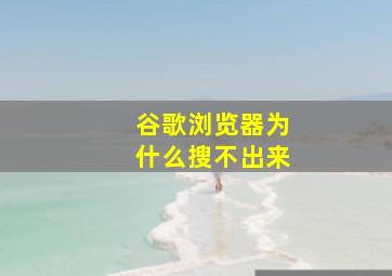 谷歌浏览器为什么搜不出来