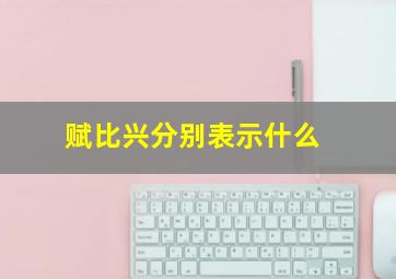 赋比兴分别表示什么