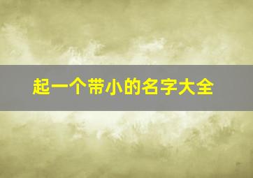 起一个带小的名字大全