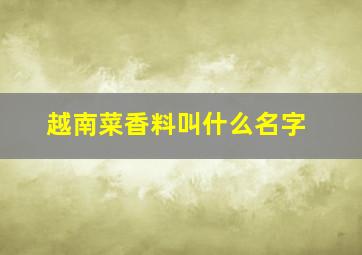 越南菜香料叫什么名字