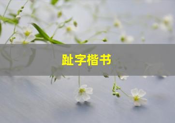 趾字楷书