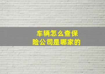 车辆怎么查保险公司是哪家的