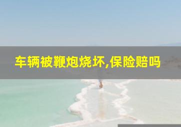 车辆被鞭炮烧坏,保险赔吗