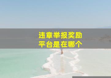 违章举报奖励平台是在哪个