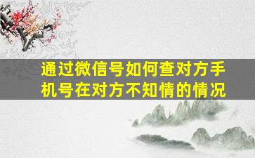 通过微信号如何查对方手机号在对方不知情的情况